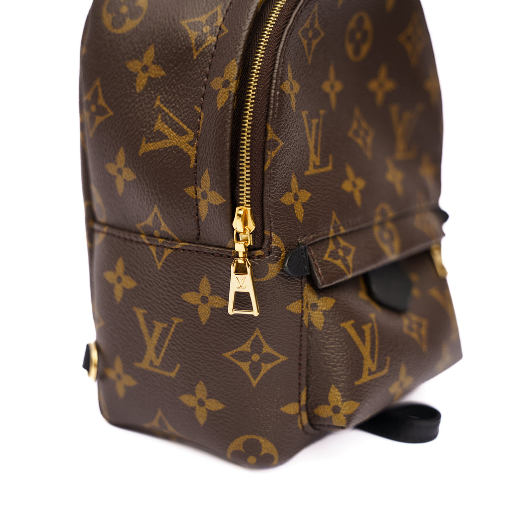 Louis Vuitton Palm Springs Mini Backpack Bags Chase