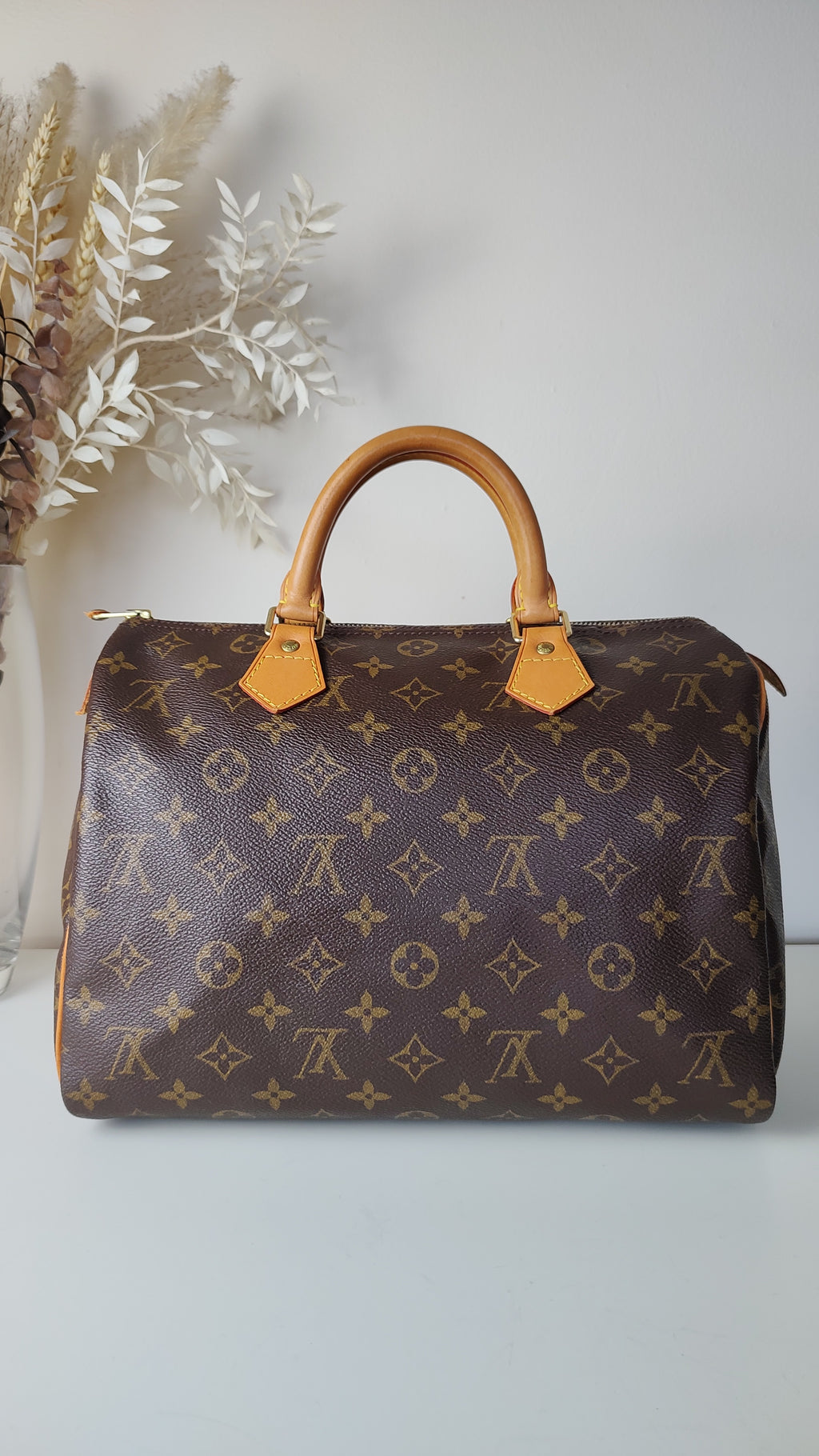 Louis Vuitton Monogram Speedy 30