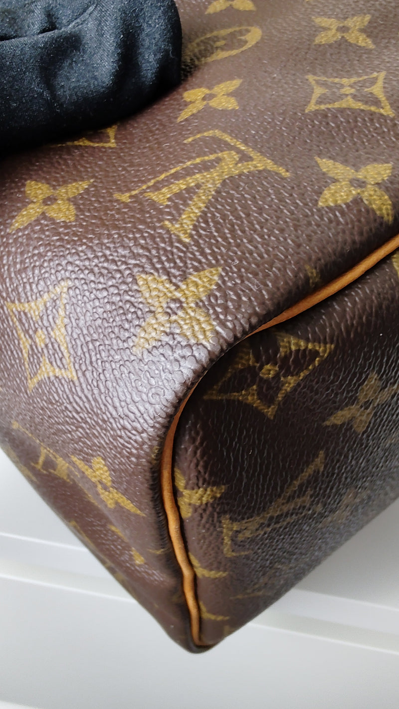 Louis Vuitton Speedy 30 Monogram Bag