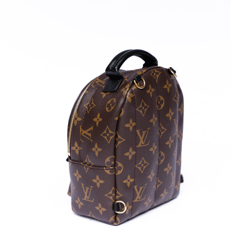 Louis Vuitton Palm Springs Mini Backpack – Bags Chase