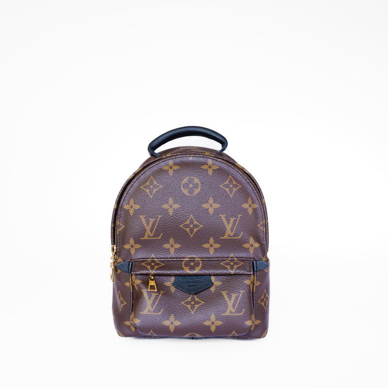 Louis Vuitton 2020 Palm Springs Mini Backpack - PL2250
