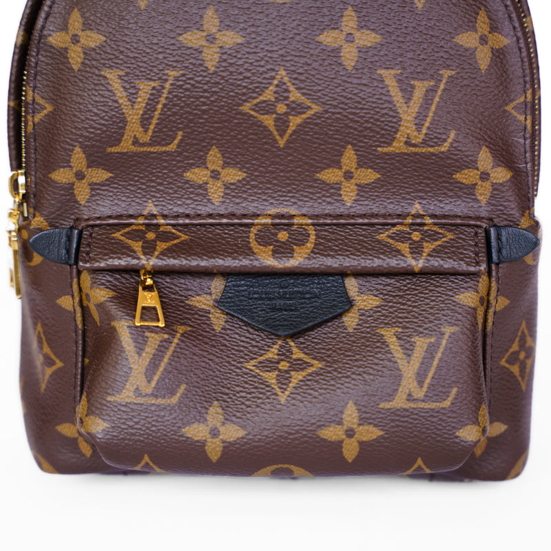 Louis Vuitton 2020 Palm Springs Mini Backpack - PL2250
