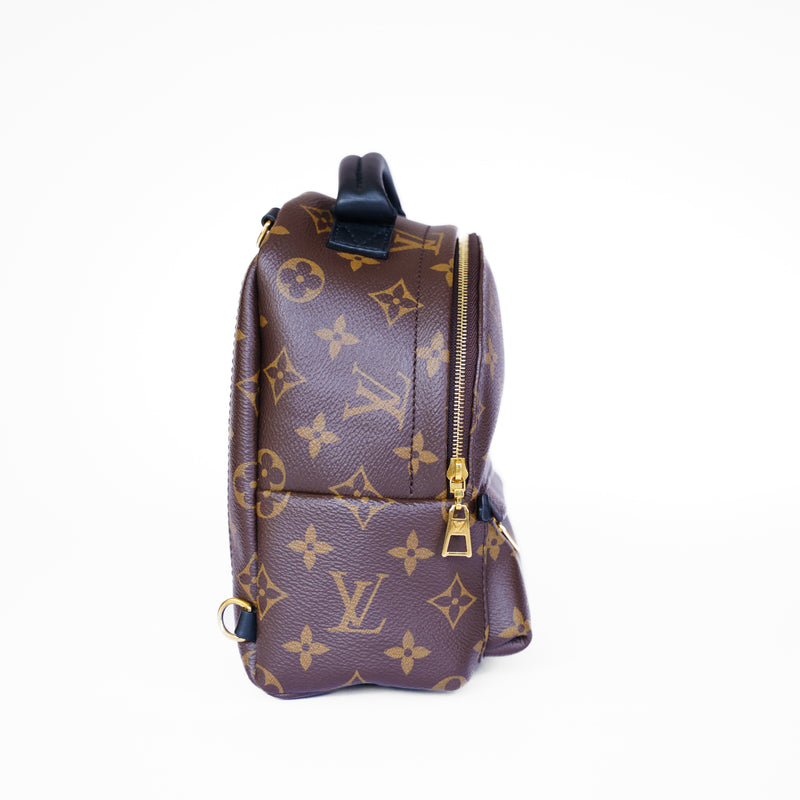 Louis Vuitton 2020 Palm Springs Mini Backpack - PL2250