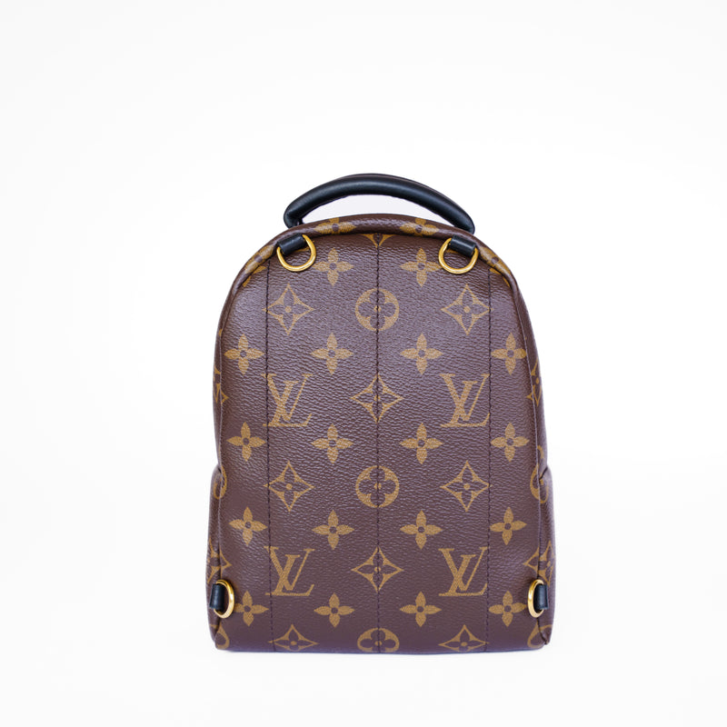Louis Vuitton 2020 Palm Springs Mini Backpack - PL2250