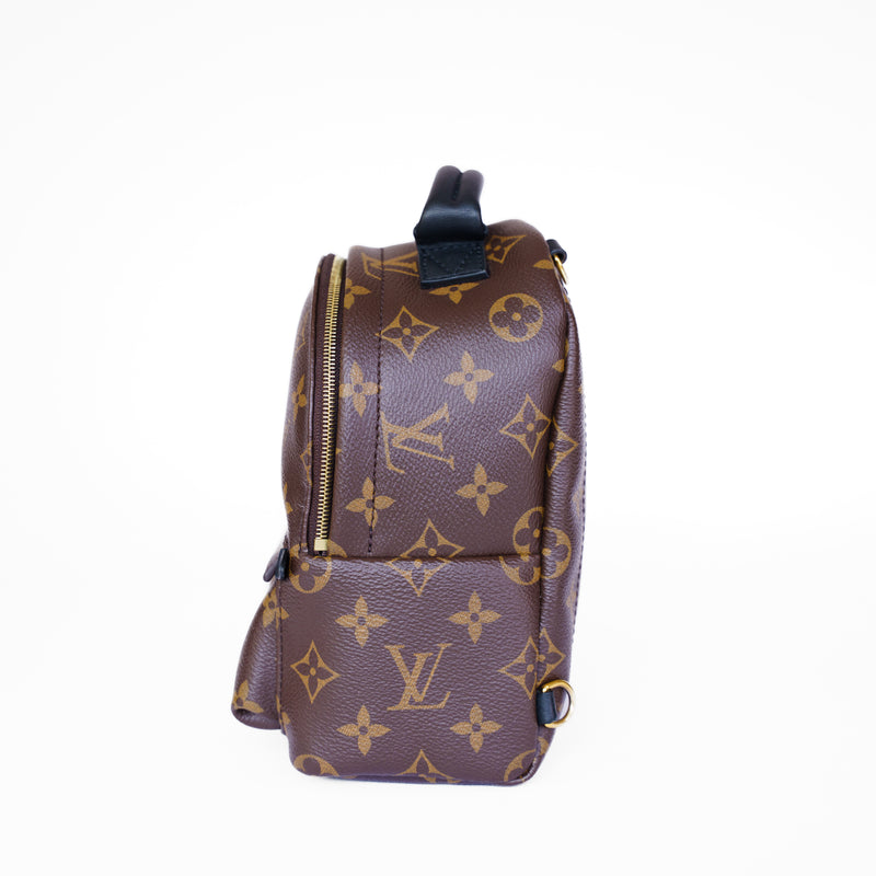 Louis Vuitton 2020 Palm Springs Mini Backpack - PL2250