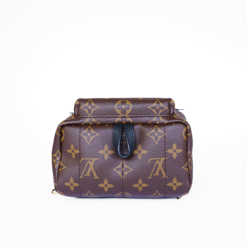 Louis Vuitton 2020 Palm Springs Mini Backpack - PL2250